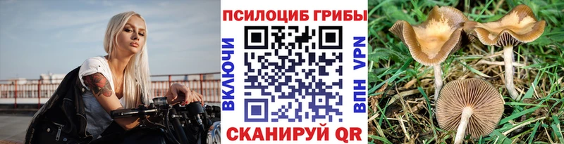 Галлюциногенные грибы ЛСД  Маркс 